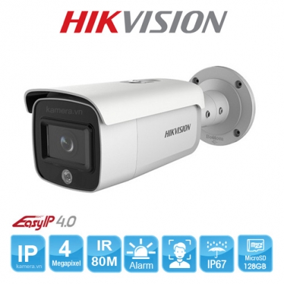 CAMERA IP HIKVISION DS-2CD2T46G1-4I/SL